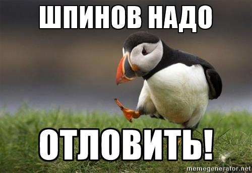 unpopular-opinion-puffin-.jpg